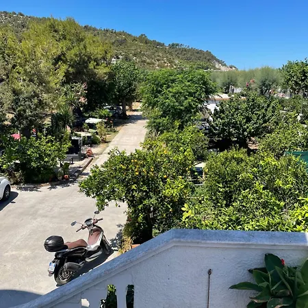 Maria E * Пескичи